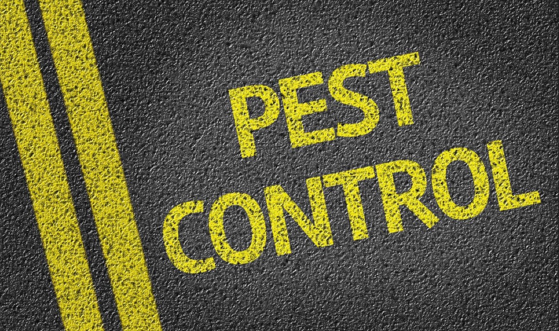 Программа пест-контроля - что это значит, для чего она нужна?